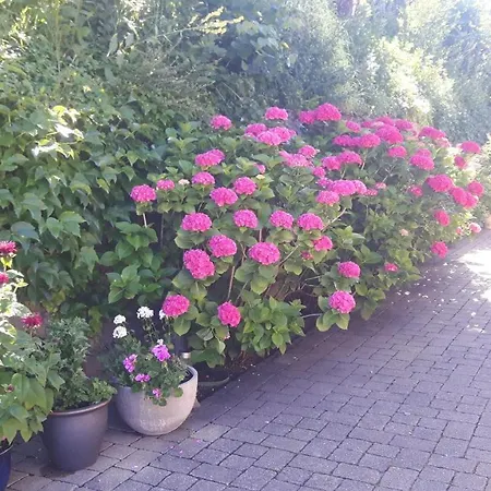 アパート Energie Oase ミルシュタット