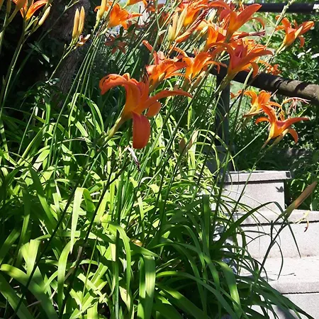 Energie Oase アパート