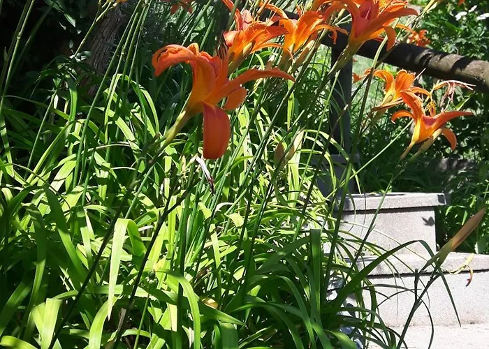 Energie Oase Apartmán